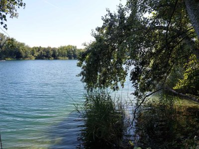 Einmalige Gelegenheit!  Winkelbungalow in der Nähe vom See in 76646 Bruchsal-Büchenau