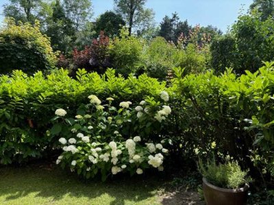 Stilvolle und sonnige 2 Zimmer Gartenwohnung (Süd-West Lage)