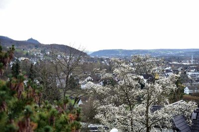 Geschmackvolle , möbl. 4-Raum-DG-Wohnung mit gehobener Innenausstattung mit Balkon und EBK in Bonn