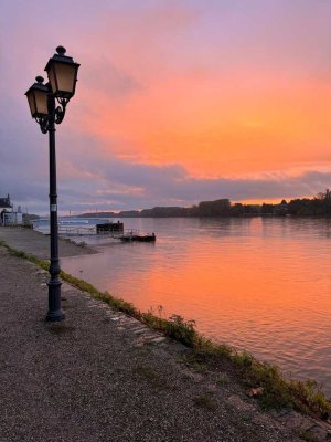Barrierefreie 3 Zimmer Wohnung in der beliebten "Residenz Rheingauer Tor"