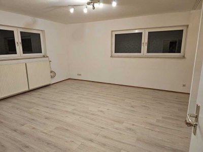 Schöne 1-Zimmer-Souterrain-Wohnung in Ramstein-Miesenbach