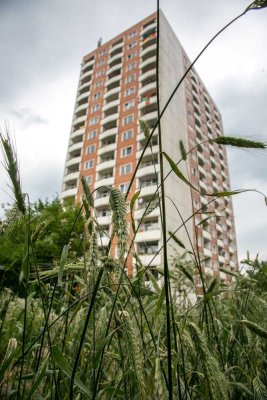 1 Zimmer Wohnung!