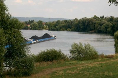 Reihenendhaus direkt am Main mit herrlichem Blick