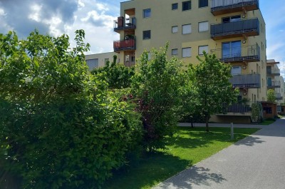 Peter Rosegger sonnige 3ZI mit Balkon, ruhig, ökologisch, familienfreundlich