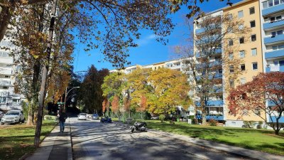 Helle 2 Zimmer-Wohnung mit Loggia in Graz-Waltendorf
