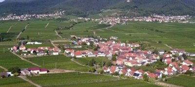 Wohnen in Flemlingen: Ehemaliges Winzeranwesen mit Ausbaupotential / Ruhige Lage