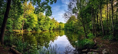 ### Ein Ort zum Durchatmen – 3 ZKB nahe Fasanerie ###