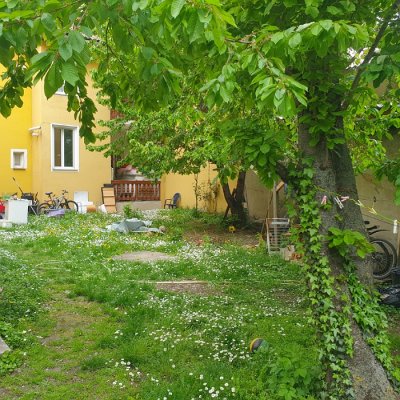 Wohnung in Top lage mit Top Verbindung!!! Wien Umgebung