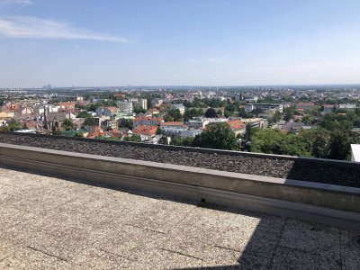 ÜBER DEN DÄCHERN VON MÖDLING!