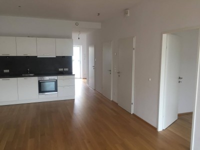 3-Zi-Whg, TG, 17 m2 Loggia, zentral im Grünen von Wels