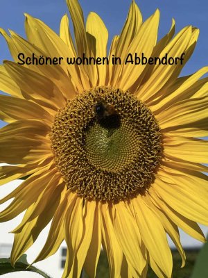 Schöner wohnen in Abbendorf