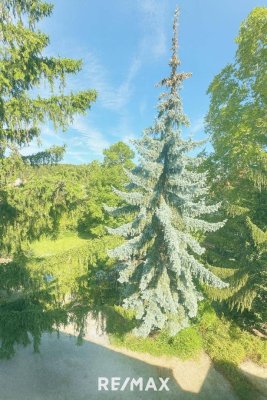 Wohnen, im Herzen von Baden – -Zentrale 3-Zimmer-Wohnung mit Atelier-Charme