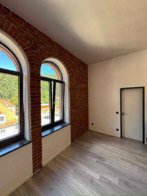 Stilvolle 1-Raum-Wohnung mit gehobener Innenausstattung in Dresden