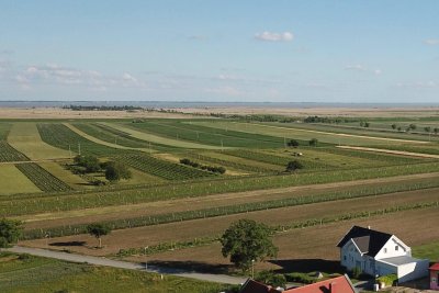 Modernes Wohnparadies mit Weitblick – Ihr neues Zuhause am Neusiedler See!