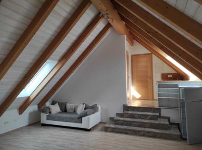 Stilvolles  1- Zimmer- Apartment mit Sichtdachstuhl in Freising/Attaching