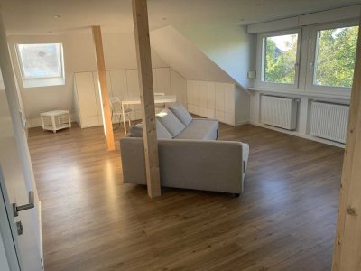 Ideal für Pendler und/oder Ruhesuchende: Möblierte 1-Zimmer-Wohnung in Wiesbaden