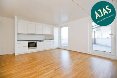 Helle moderne 4-Zi-Wohnung, 2-geschossig mit großer Terrasse
