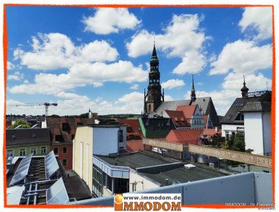 3-Zimmer-Maisonetten-Wohnung im Herzen von Zwickau mit großer Dachterrasse und EINBAUKÜCHE  zu vermi
