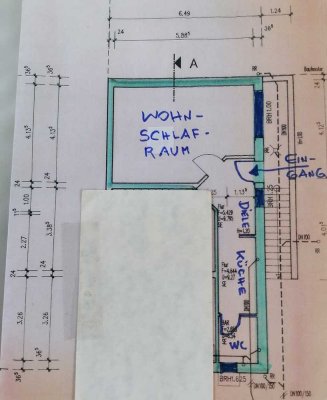 Ruhiges, helles Souterrain Appartement am Stadtwald Karthause