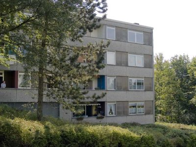 Geräumige 3 Zimmer Wohnung sucht neue Mieter !!