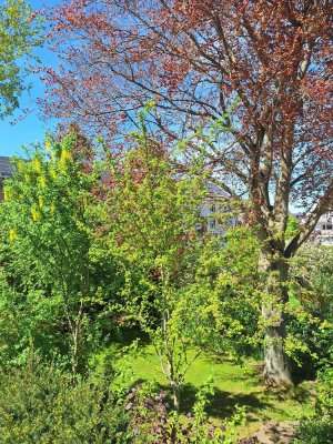 Neu-Isenburg WESTEND mit SW Balkon, top sonnige, helle 3 Zimmer Wohnung