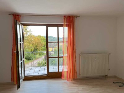 Attraktive 1-Zimmer-Wohnung mit Balkon und EBK im Kreis Regensburg