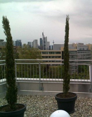 6 Zimmer-Penthouse, Ffm.-Sachsenhausen, Skylineblick über Frankfurt