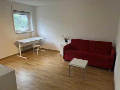 Möblierte 1 Zi Whg in Freiberg - für Pendler oder als Büro