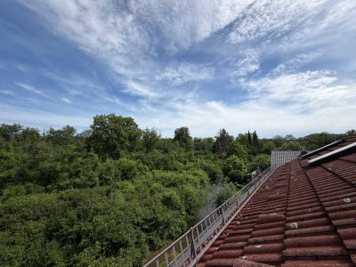 Dachgeschosswohnung München-Freimann 2 Zimmer ,offene Küche, im Grünen an den Isarauen