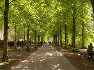 Promenaden-Traum! Sofort-bezugsfertige Innenstadtwohnung in hervorragender Lage