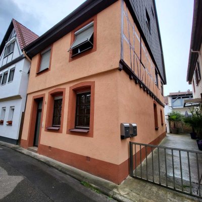 Vollständig renovierte 2-Zimmer-Wohnung mit Terrasse und EBK in Bad Bergzabern