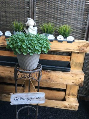 Gemütliche 3-Zimmer-Wohnung mit großräumigem Balkon in Elze