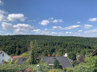 Top Lage, große Wohnung, Balkon, Garten, EBK, Hobbyraum, mit Aussicht!