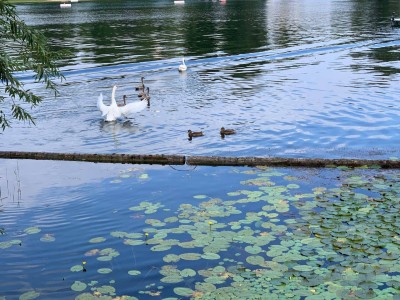 Wohnen wie im Urlaub