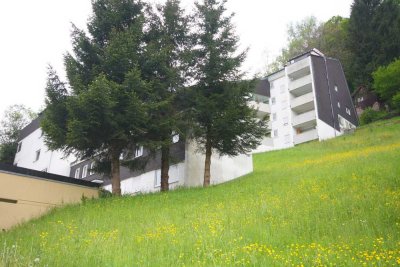 Renovierte und teilmöblierte 2-Zimmer-Wohnung in ruhiger Lage