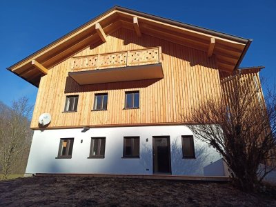 3 Zimmer Wohnung - hell und modern- Erstbezug nach Sanierung / TOP2