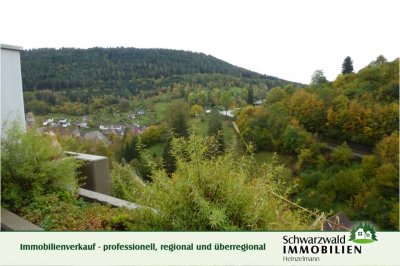 Tolles, geräumiges 1-Zimmer-Appartement in Aussichtslage im Schwarzwald