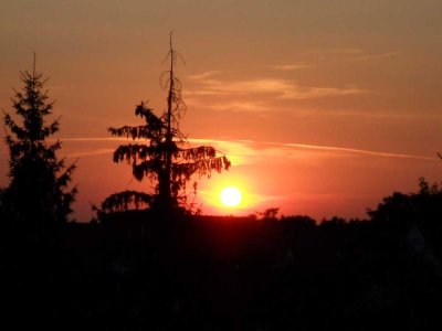 IHR NEUES ZUHAUSE IM GRÜNEN INKLUSIVE ABENDROMANTIK - TEL.: 01714863595