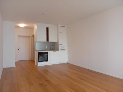1 Zimmer-Wohnung | 3m² Loggia | Linz-Urfahr