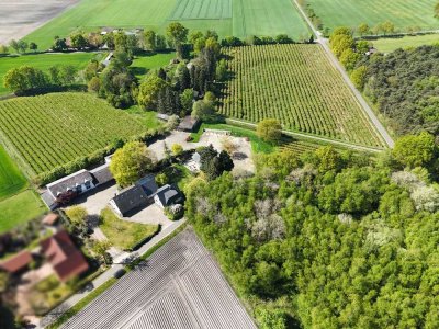 Drei Immobilien, ein Preis – vielseitiges Gebäudensemble in Wagenfeld!