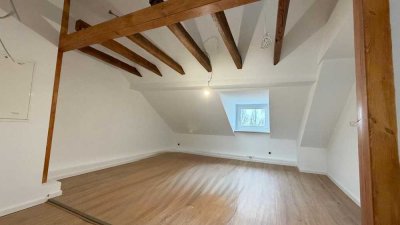 Erstbezug nach Sanierung mit PV: Mitten im Grünen in der Stadt, Schöne 2-ZW mit Garten und EBK