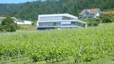 Im Weinberg Frühstücken mit Blick über den Bodensee