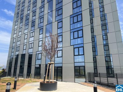 Perfekt für WG`s – 3 getrennte Zimmer und großzügige Loggia