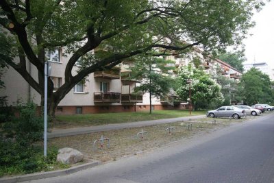 3-Zimmerwohnung im Winzerviertel