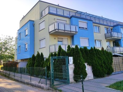 Neubau 3-Zimmer Erdgeschosswohnung mit Terrasse und Garten