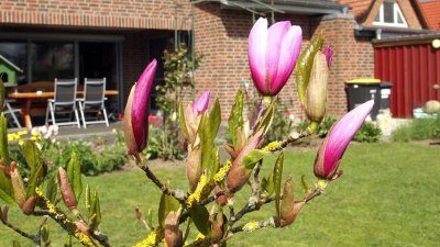 ***neuer Preis : Hochwertiges Einfamilienhaus mit vielen Extras in exklusiver Lage***