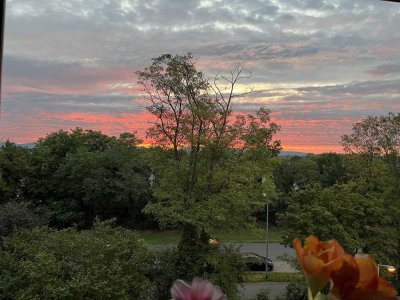 3-Zimmer-ETW in MA.-Rheinau-Süd mit wunderbarer Fernsicht und Ausblicken ins Grüne