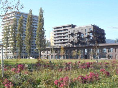 Q5 am PARK großartige 2ZI mit Süd/Balkon PARKBLICK