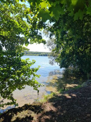 Gut geschnittene, helle Wohnung mit Südbalkon nahe Flakensee!