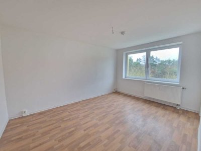 *Einziehen & 500,-€ Gutschein sichern* Frisch renovierte 2 Zimmer mit Duschbad in ruhiger Lage
